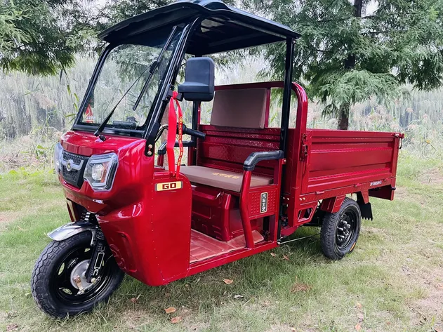 1.6m 3 Wheelers Electric Cargo Tricycle with Luxury Protective Front Roof