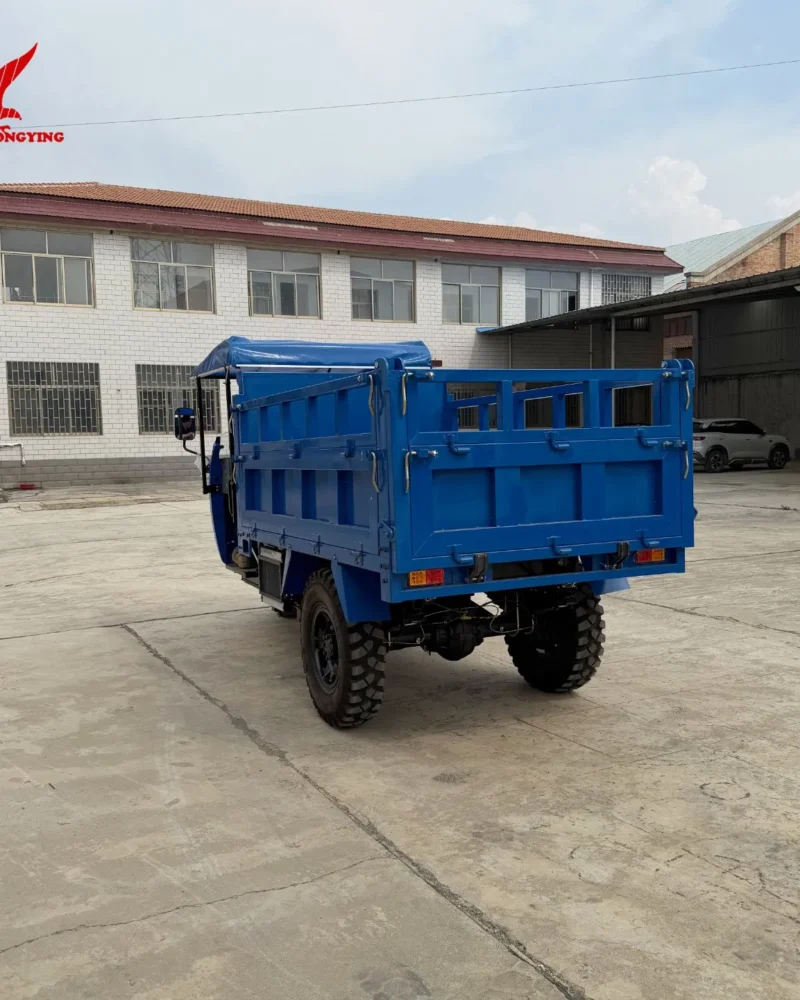 Hot Selling 3 Wheel Electric Tricycle Open Body Adult Cargo pictures & photos