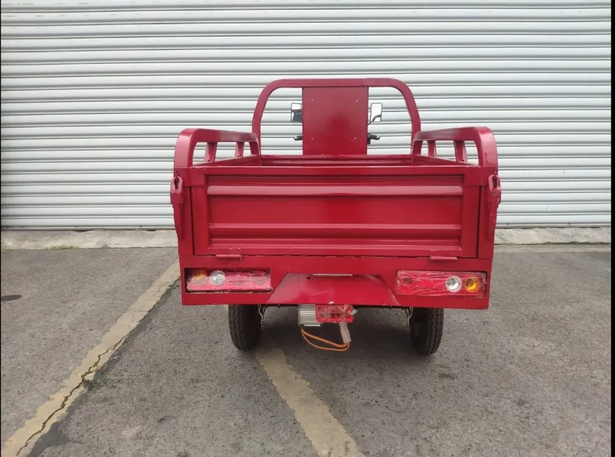 Fast Delivery Adults Tricycle 3 Wheel Electric Truck Cargo