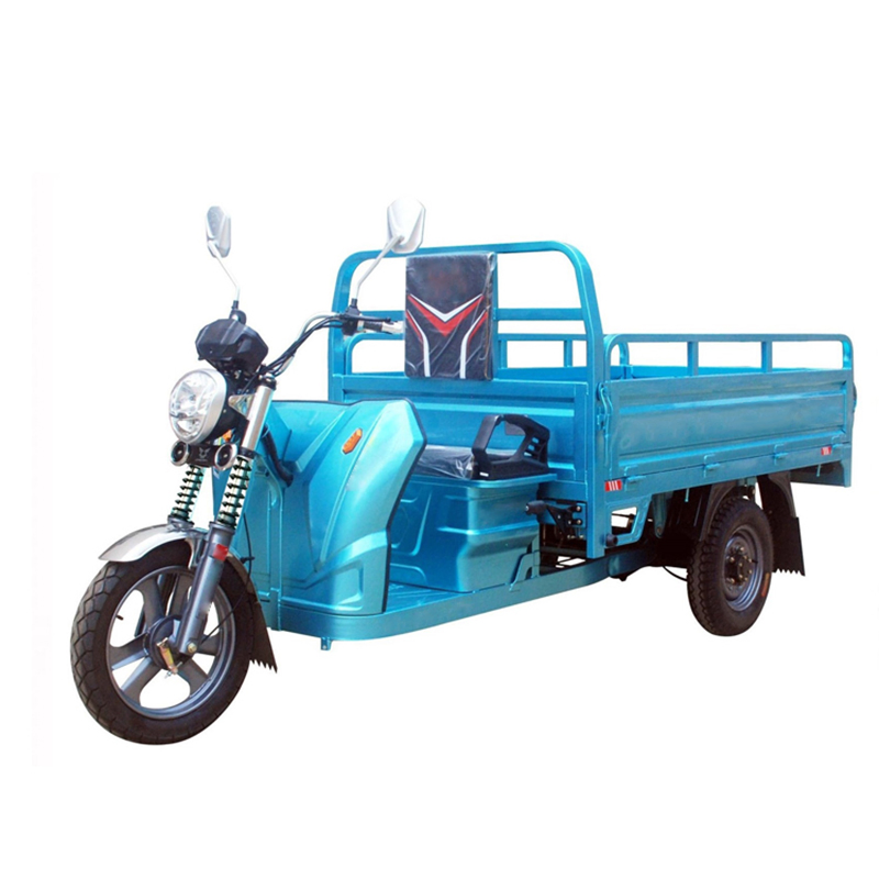 Three Wheel E-Trike Electric Cargo Tricycle Fast Charging New Electric Trike Adult pictures & photos